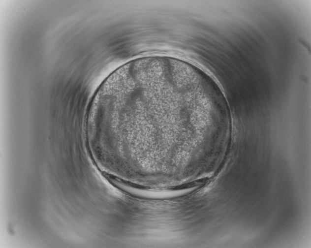 X0000099541533200805301450