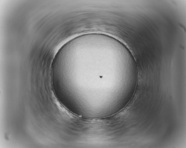 X0000099541534200805301450