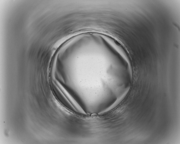 X0000099541535200805301450