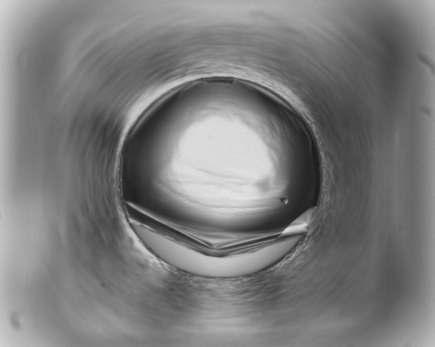 X0000099541536200805301450