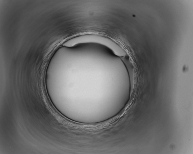 X0000099540001200806061505