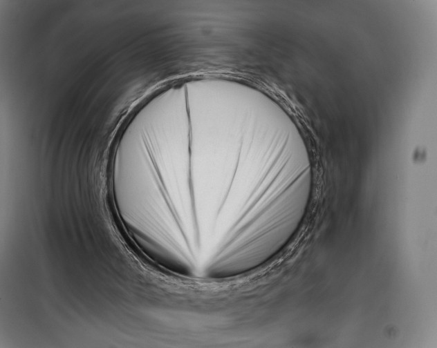 X0000099540002200806061505