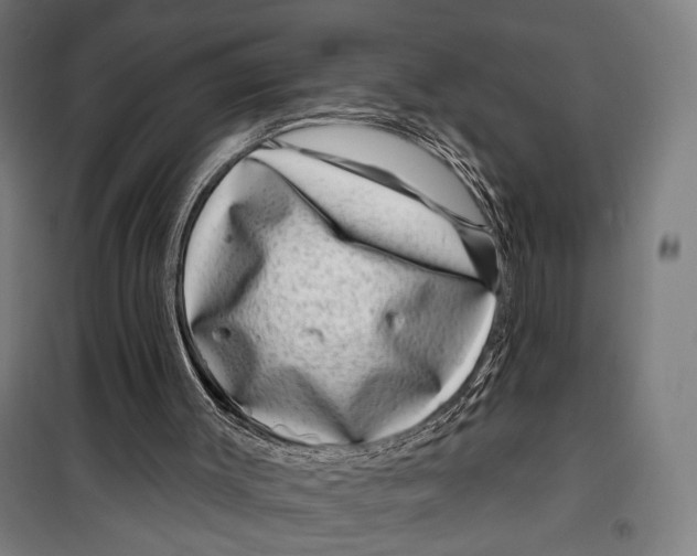 X0000099540003200806061505