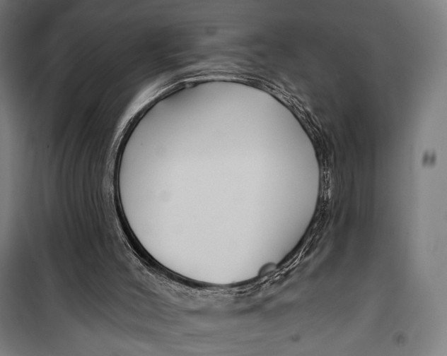 X0000099540004200806061505