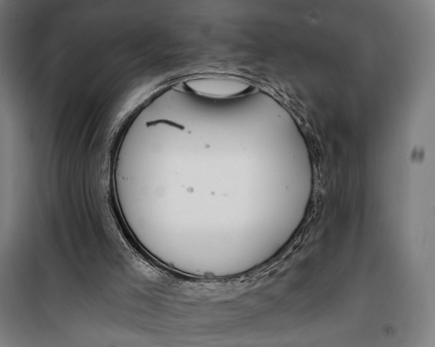 X0000099540005200806061505