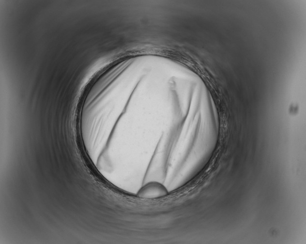 X0000099540006200806061505