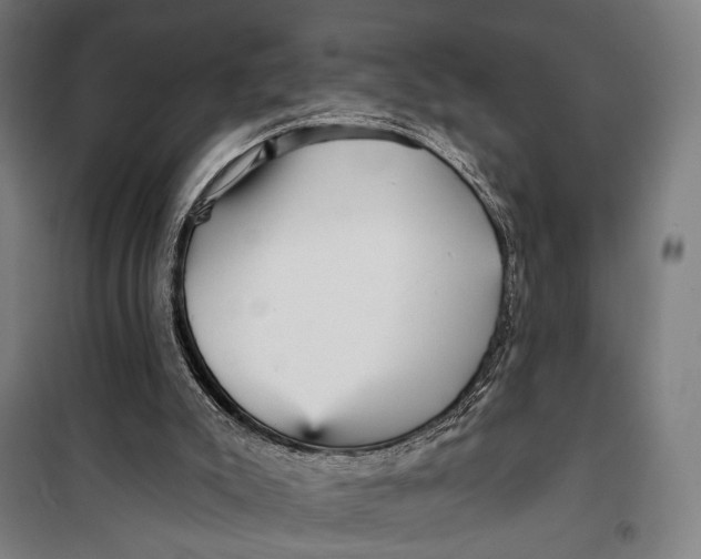 X0000099540007200806061504