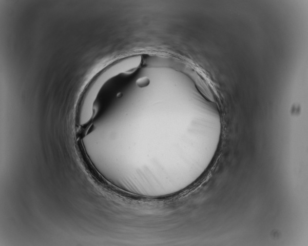 X0000099540008200806061504