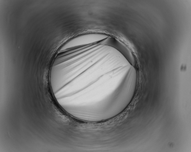 X0000099540009200806061504