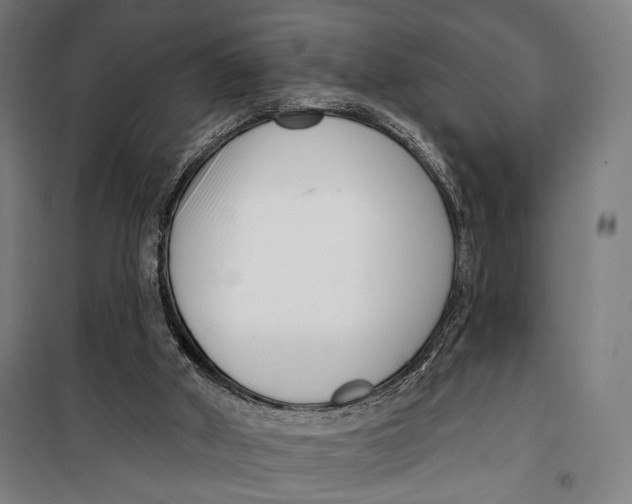 X0000099540010200806061504