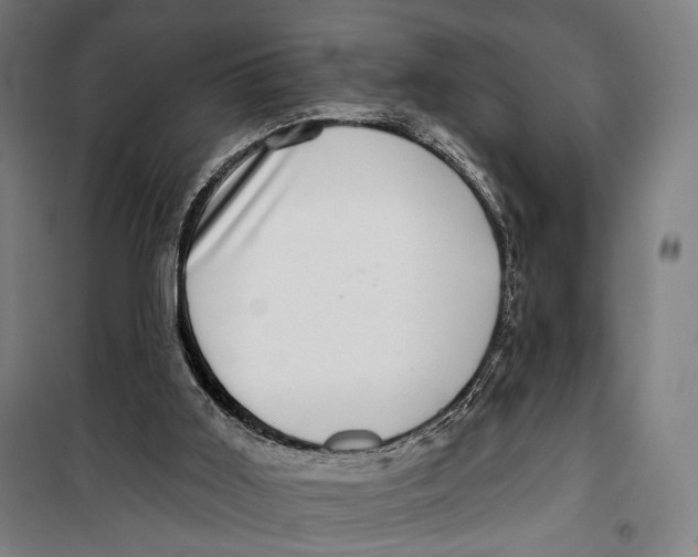 X0000099540011200806061504