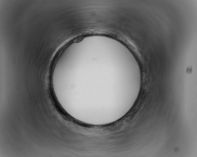 X0000099540012200806061504