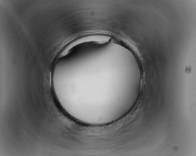 X0000099540013200806061504