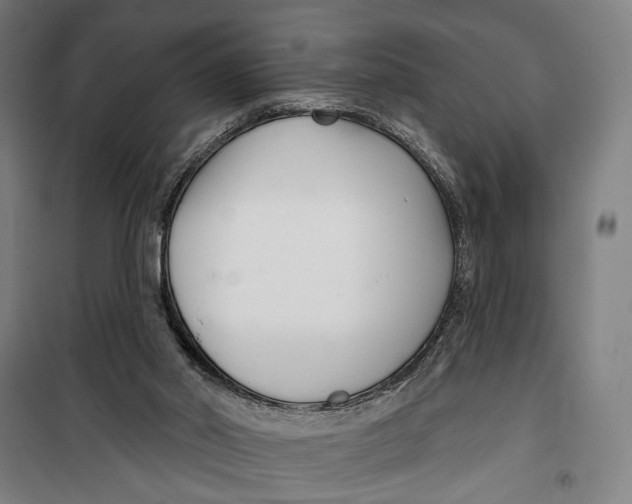 X0000099540014200806061504