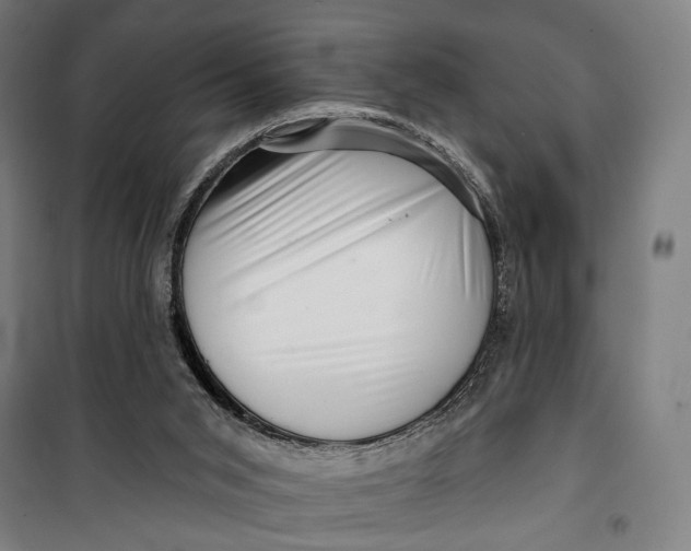 X0000099540015200806061504