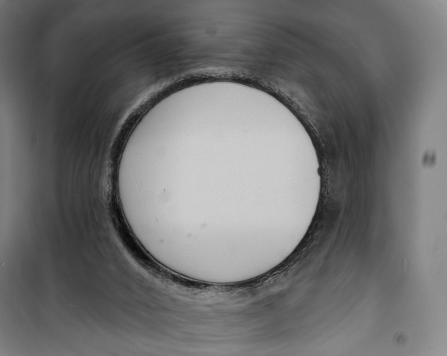 X0000099540016200806061504