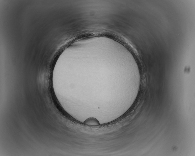 X0000099540018200806061504