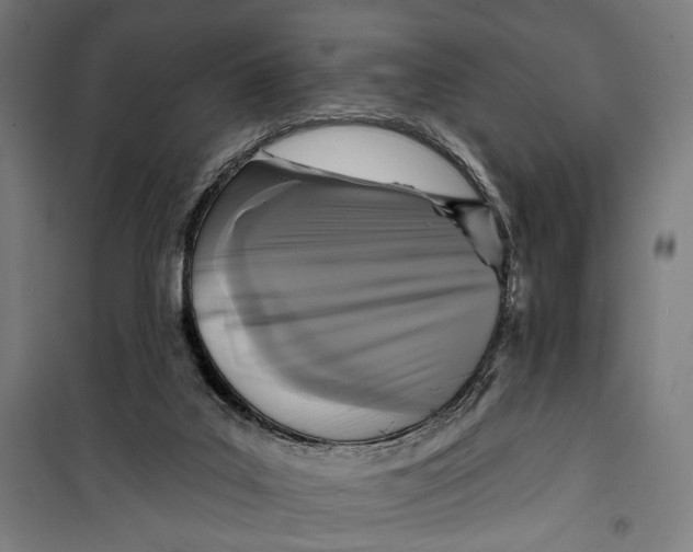 X0000099540019200806061504