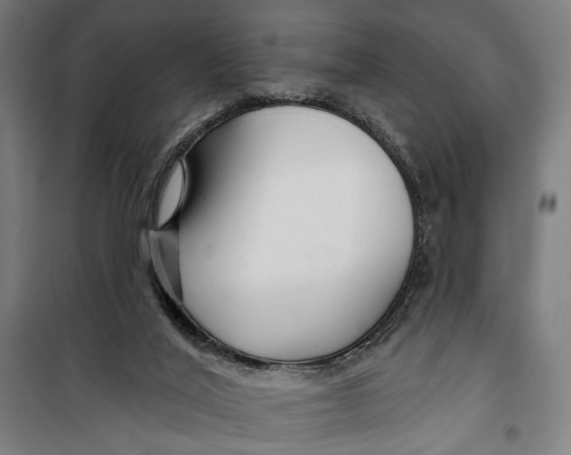 X0000099540020200806061504