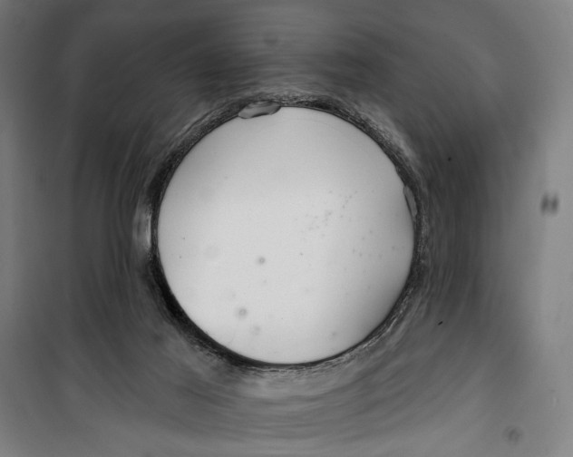 X0000099540021200806061504