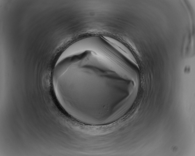 X0000099540023200806061504