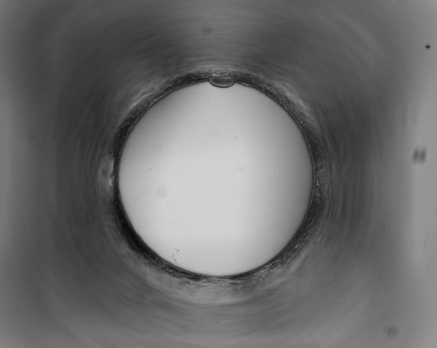 X0000099540024200806061504