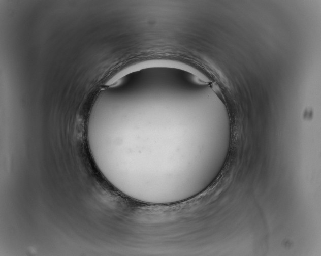 X0000099540025200806061504