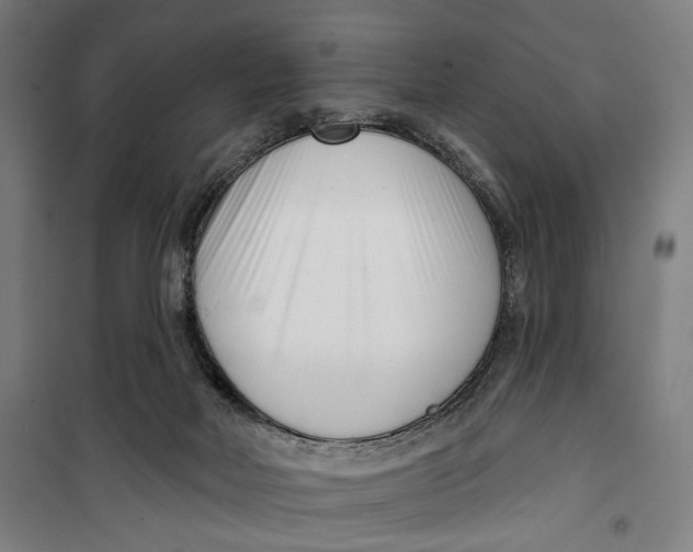 X0000099540026200806061504