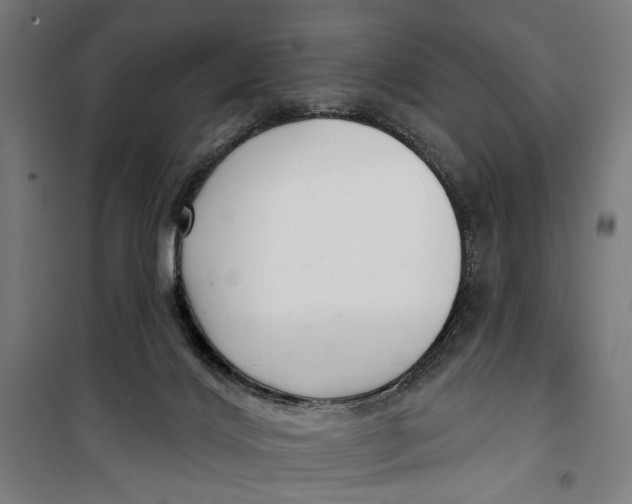 X0000099540028200806061504