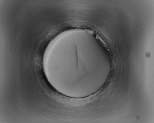 X0000099540031200806061504