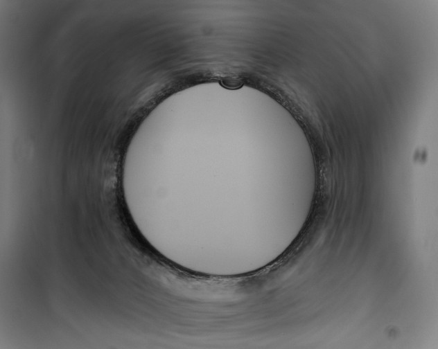 X0000099540032200806061504