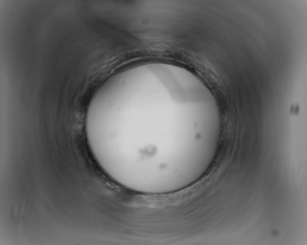 X0000099540033200806061504