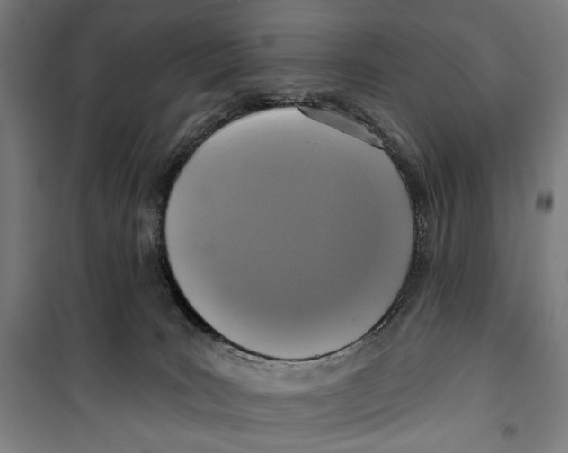 X0000099540035200806061504