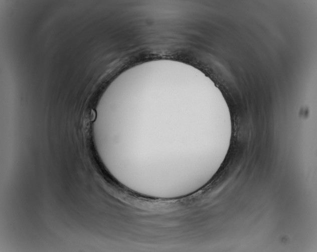 X0000099540036200806061504