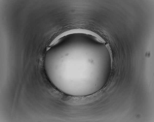 X0000099540037200806061504