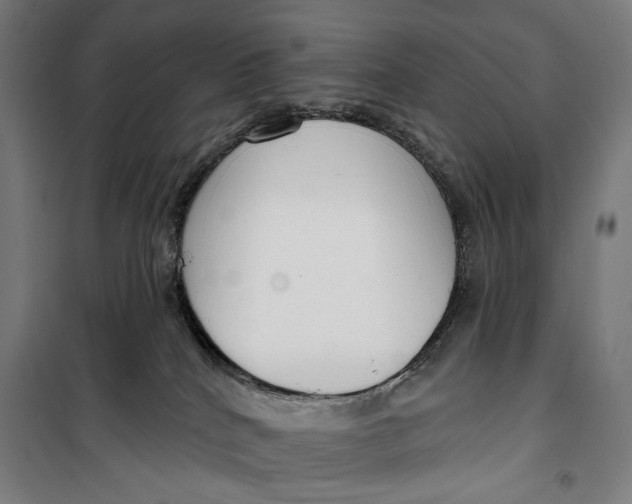 X0000099540040200806061504