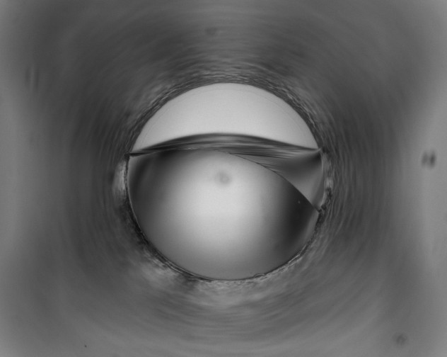 X0000099540041200806061504