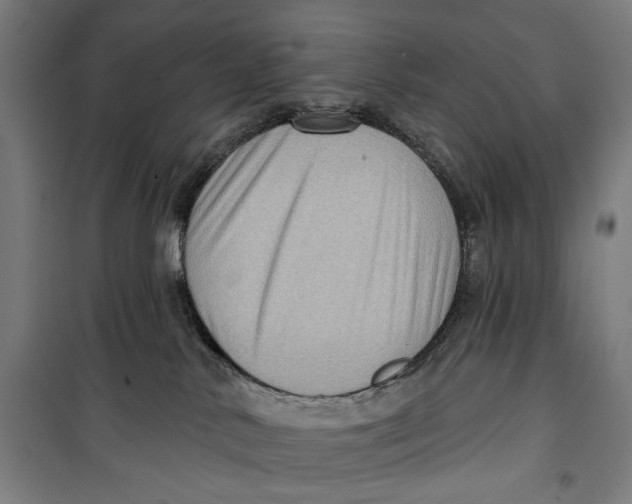 X0000099540042200806061504