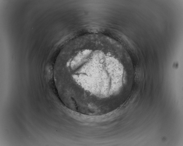 X0000099540043200806061504