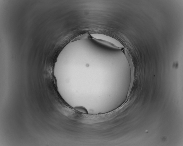 X0000099540045200806061504