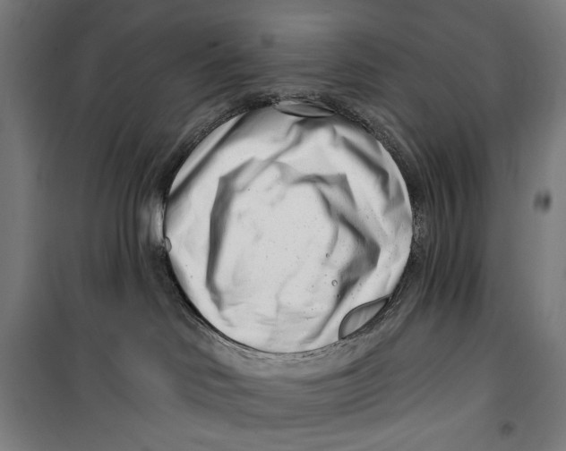 X0000099540046200806061504