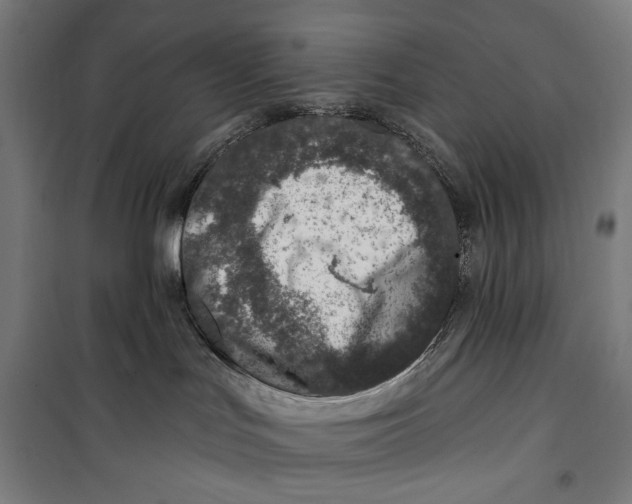 X0000099540047200806061504