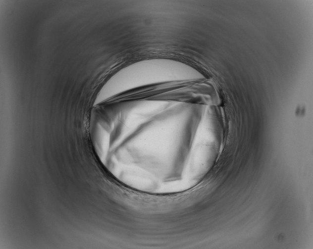 X0000099540048200806061504