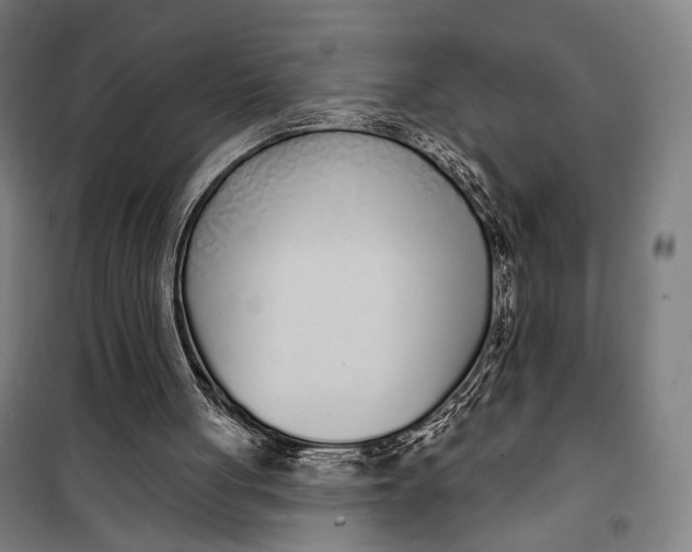 X0000099540051200806061503