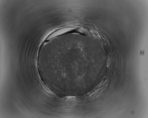 X0000099540052200806061503