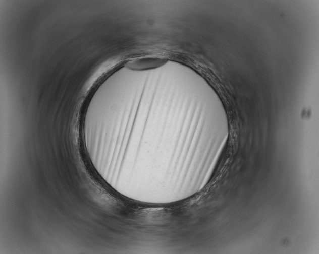 X0000099540054200806061503