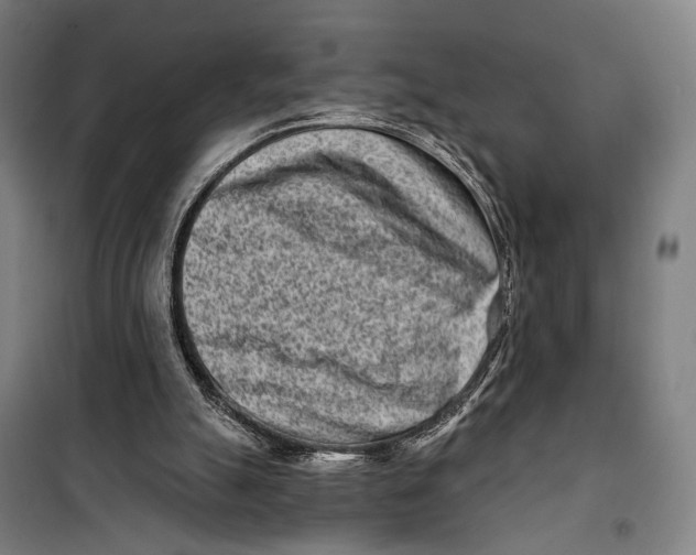 X0000099540055200806061503