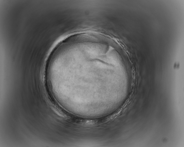 X0000099540056200806061503