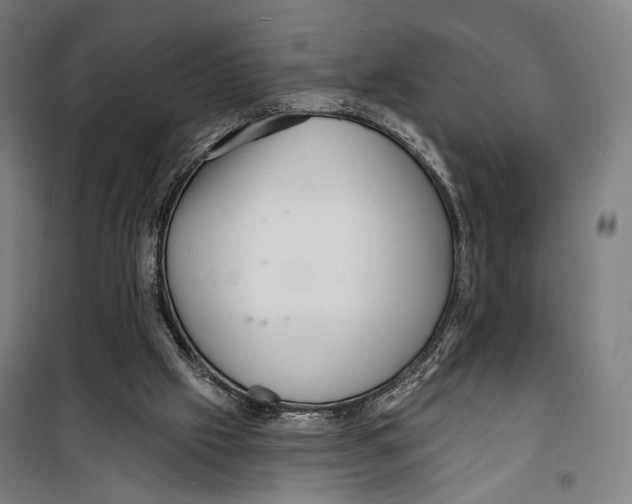 X0000099540057200806061503