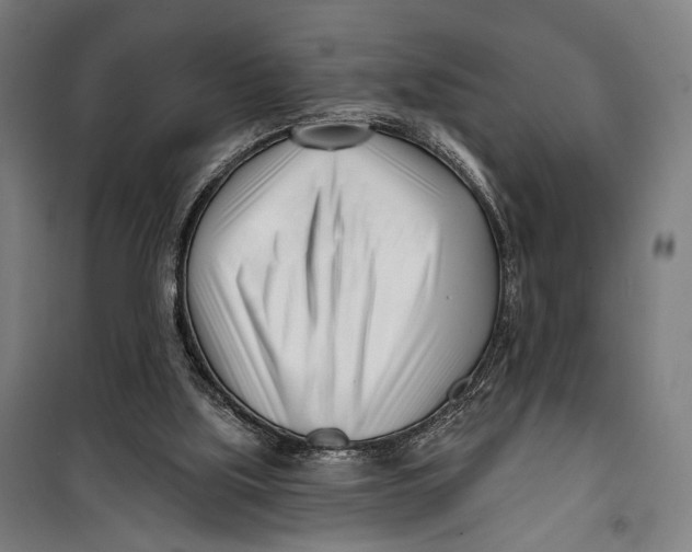 X0000099540059200806061503